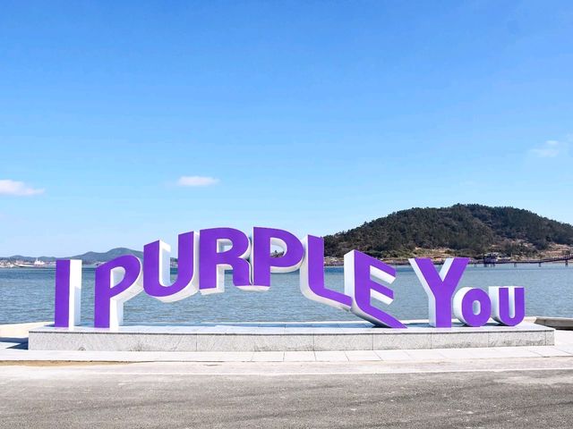 온통 보라보라한 섬에 홀딱 반하다. 신안 퍼플섬