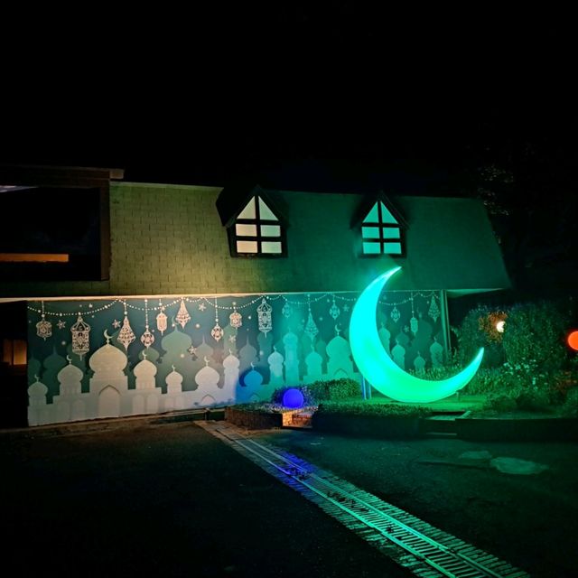 西湖渡假村夜晚夢幻光雕秀🌙🌠🌌