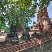 Unseen เศียรพระในต้นโพธิ์