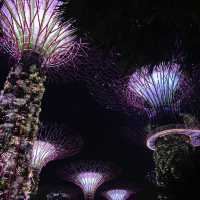 A Botanical Wonderland and Visual Extravaganz