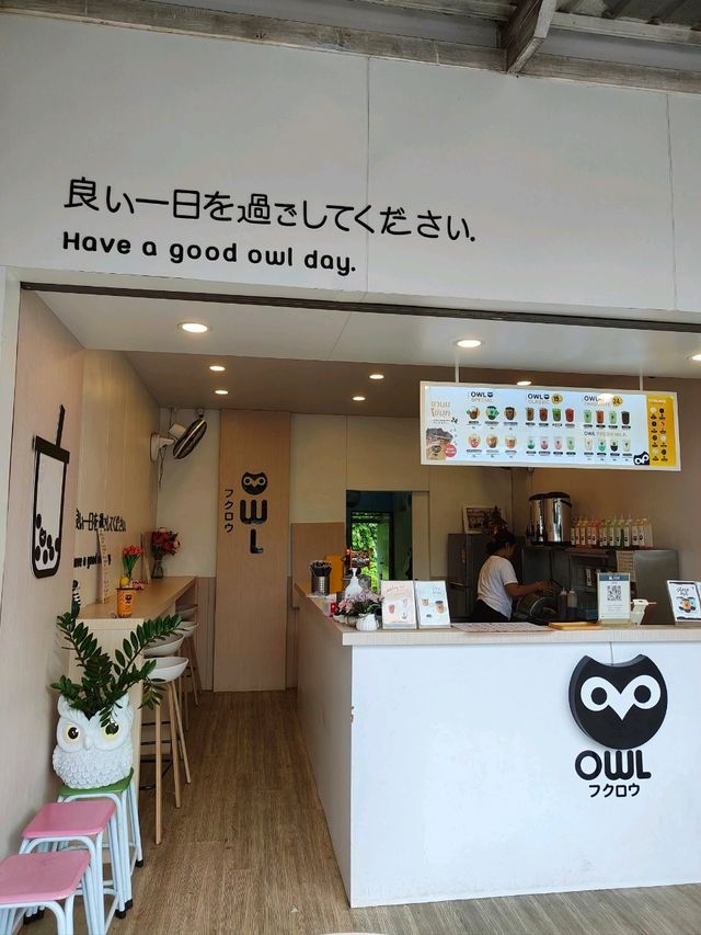 owl tea suratthani👍🏻