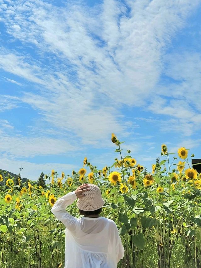 서울근교 힐링스팟 💚🌿갯골생태공원