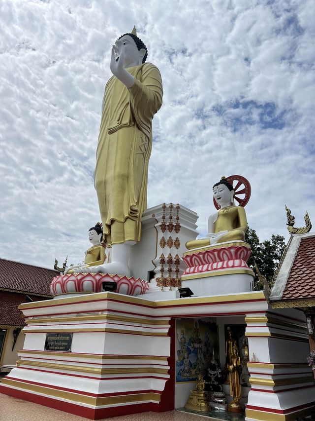 หอบดอกมะลิไปไหว้ขอพร พระธาตุดอยคำ 🙏🏻