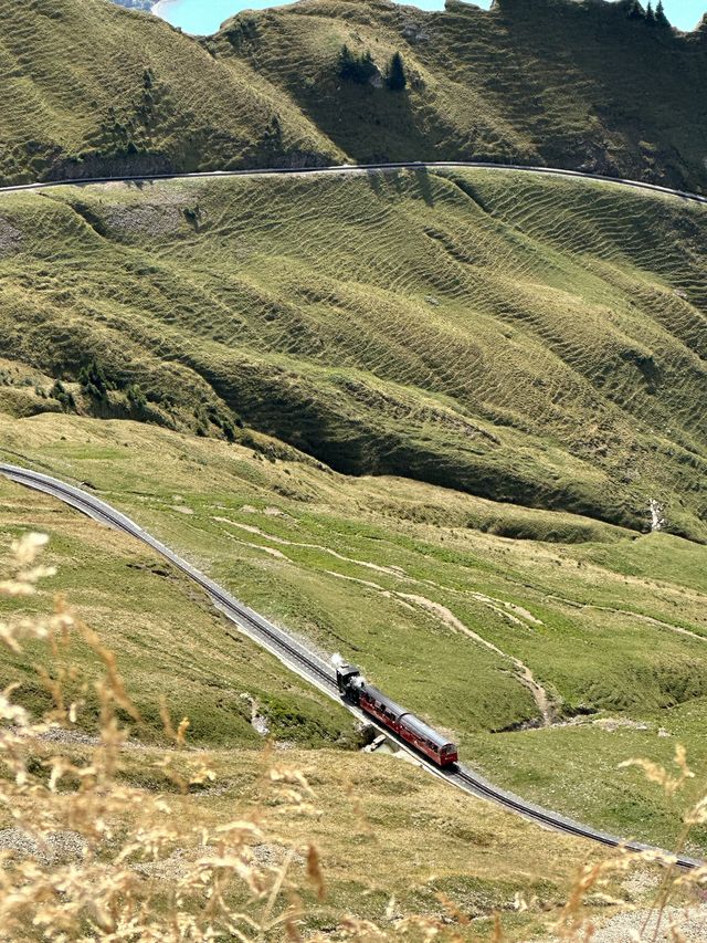 Chugging to the Clouds: Brienz Rothorn Barn🚂