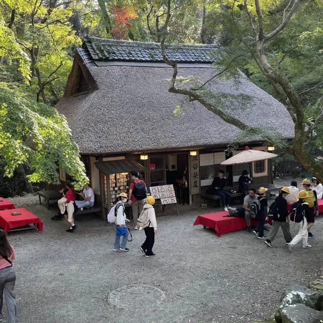 奈良市春日大社にあるペットも行ける茶屋🍵🐶