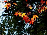 โรงเรียนการเมืองการทหาร 🍁🍁🍁