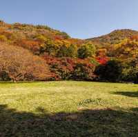 Beautiful Autumn View Naejangsan Park