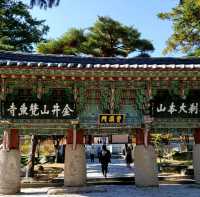 【梵魚寺（ポモサ）】お寺巡りをしてきました。