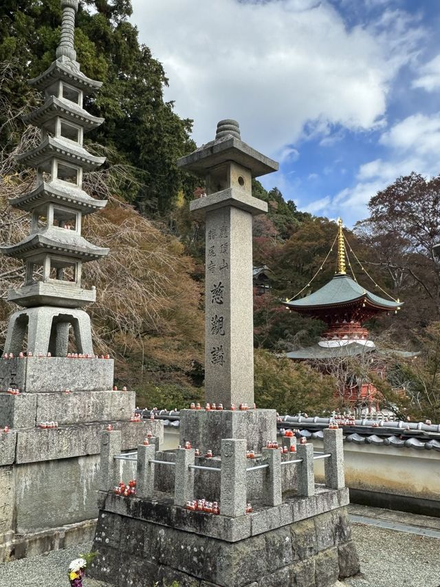 It’a red world 🇯🇵🇯🇵 Katsuoji Temple !!