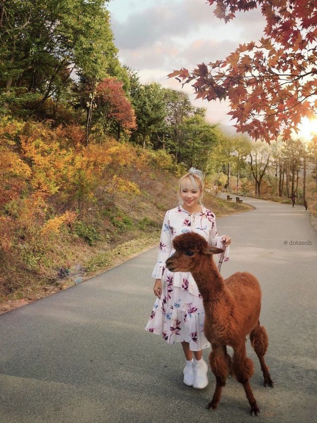 So beautiful you won’t believe it’s Seoul 🇰🇷