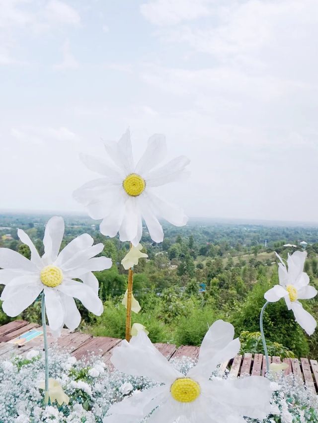 ภูเอ๋ย ภูฟินเชียงใหม่❣️🌈