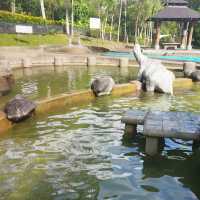 Adventures Park 🏞️