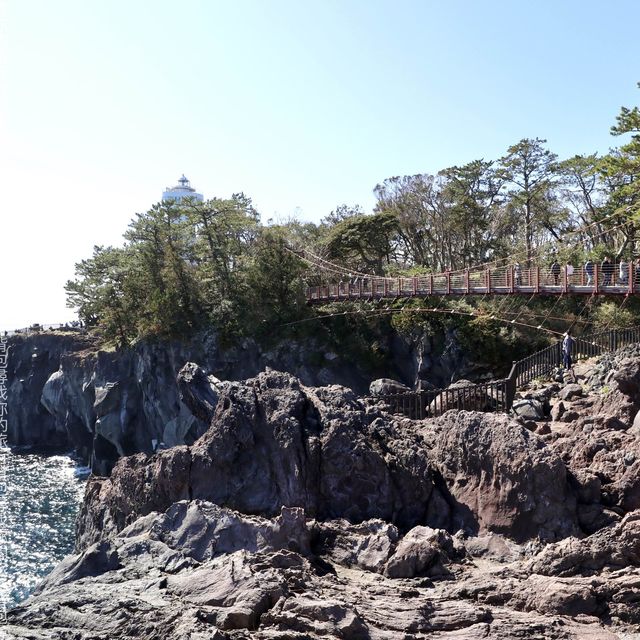 東伊豆「城崎海岸」 飽覽太平洋海岸線 +櫻花 +日本自然景觀