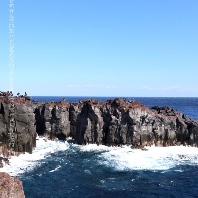 東伊豆「城崎海岸」 飽覽太平洋海岸線 +櫻花 +日本自然景觀