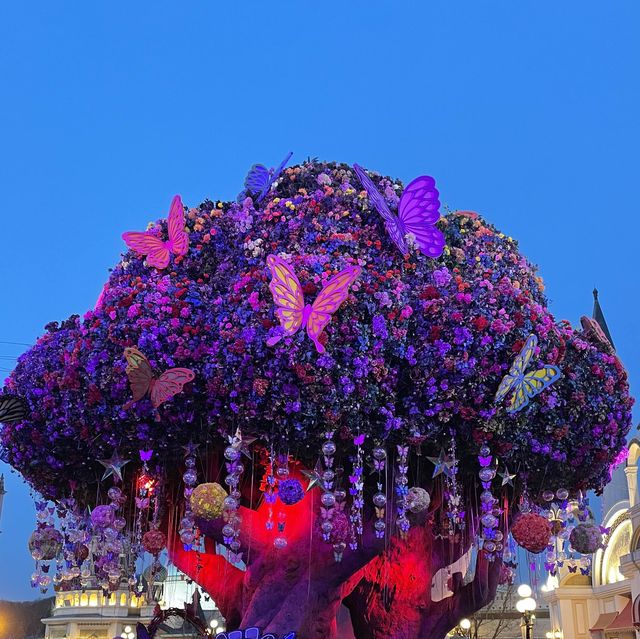 Ever Land 〜フォトスポット編〜📸　BTS撮影地も！？