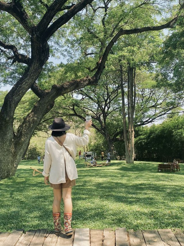 Notty Journey เจอ Mulberry Mellow • กาญจนบุรี 