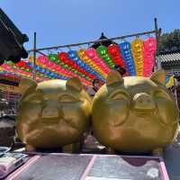 The most beautiful temple in Korea!