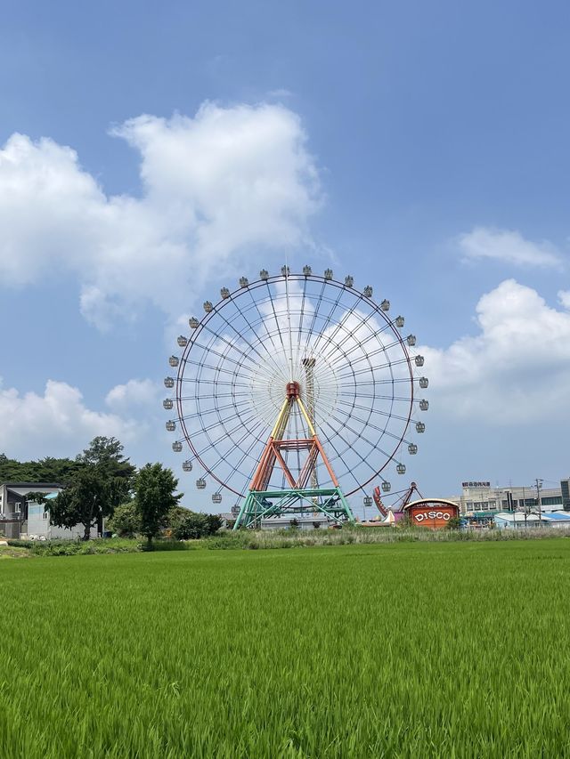 서울근교 이국적인 사진명소 삽교호 놀이동산 대관람차 포토존