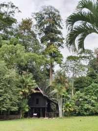 Forest Research Institute Malaysia KL🌲🍃