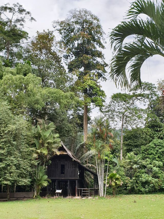 Forest Research Institute Malaysia KL🌲🍃