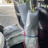 ตลาดต้นไม้สบายใจ 