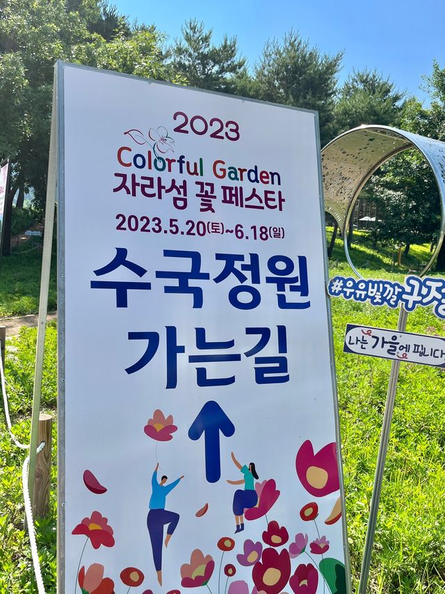 경기도 수국축제는 자라섬에서 진행~ing📸