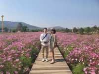 สวนดอกไม้กลางหุบเขา ในถิ่นอีสาน