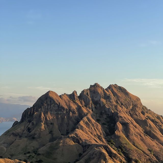 Yellow Season in Pulau Padar