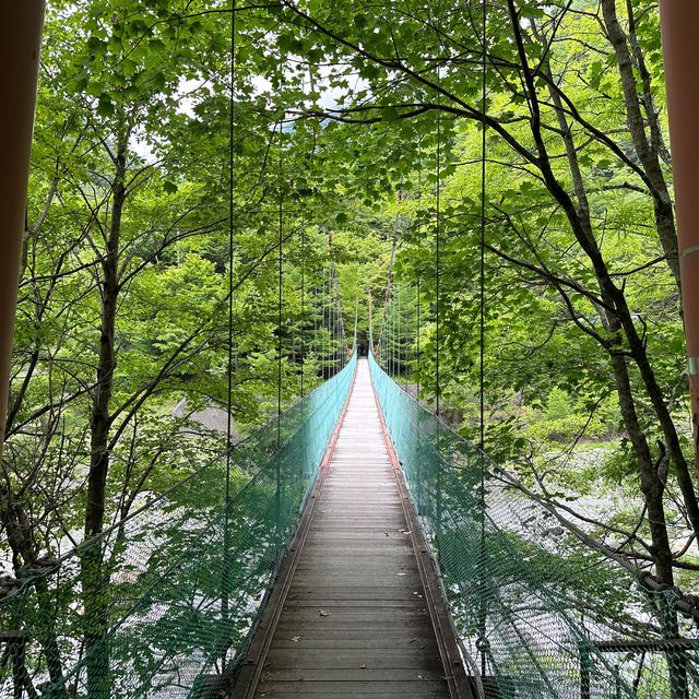 【山梨】いざ夏山へ！広河原から白根御池までの登山道