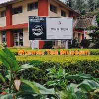 Must Visit Place in Munnar 