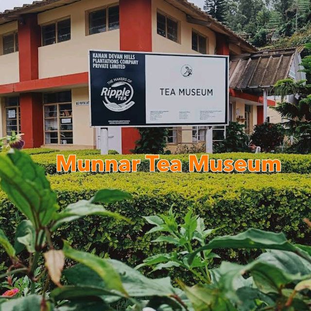 Must Visit Place in Munnar 