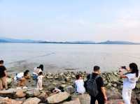 深圳灣 | 休閒好去處-深圳灣公園