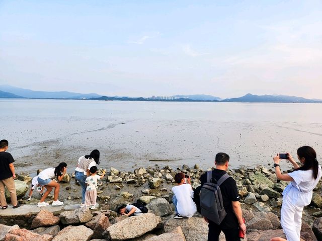 深圳灣 | 休閒好去處-深圳灣公園