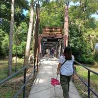 เที่ยวน้ำตกกันนะ