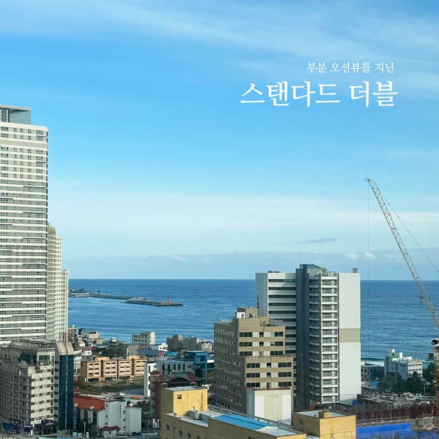 속초 레지던스형 감성숙소. 스타일러까지 있다니