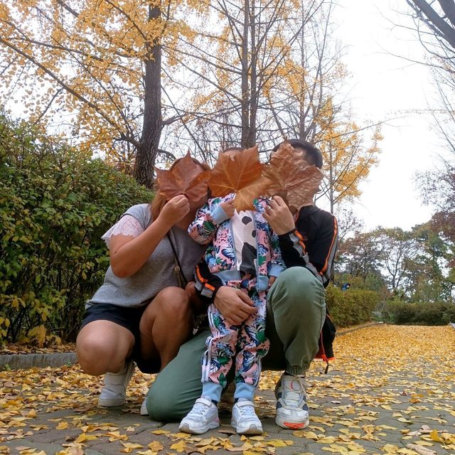 韓國必去免費親子遊 - 兒童大公園
