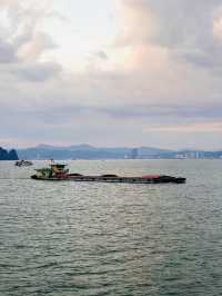 Explore Halong Bay With Cozy Bay Cruise 🌊