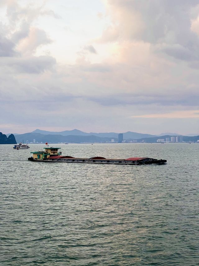 Explore Halong Bay With Cozy Bay Cruise 🌊