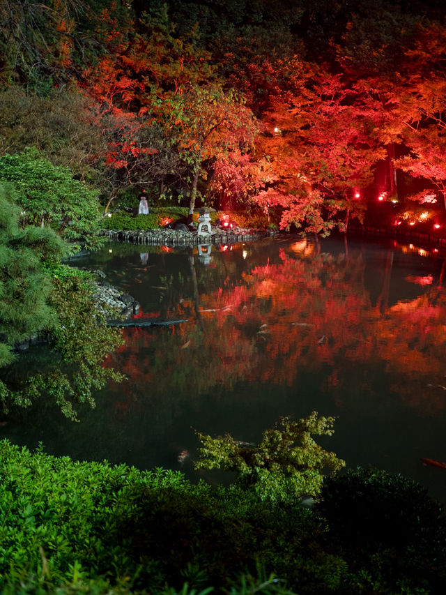 【これが無料で見れる！？🍁】八芳園で開催中の紅葉ライトアップが美しすぎる！✨