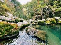 【絶景】美しく神秘的な青、仁淀ブルー！にこ淵