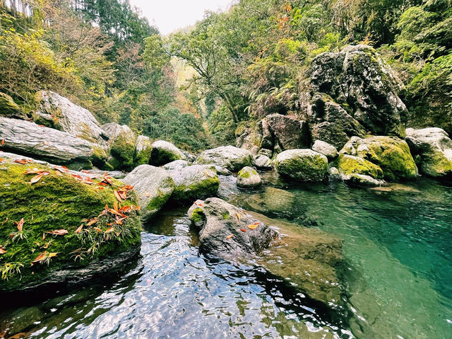 【絶景】美しく神秘的な青、仁淀ブルー！にこ淵