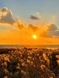 【絶景】最高のサンセットを見るなら南原千畳敷🌅