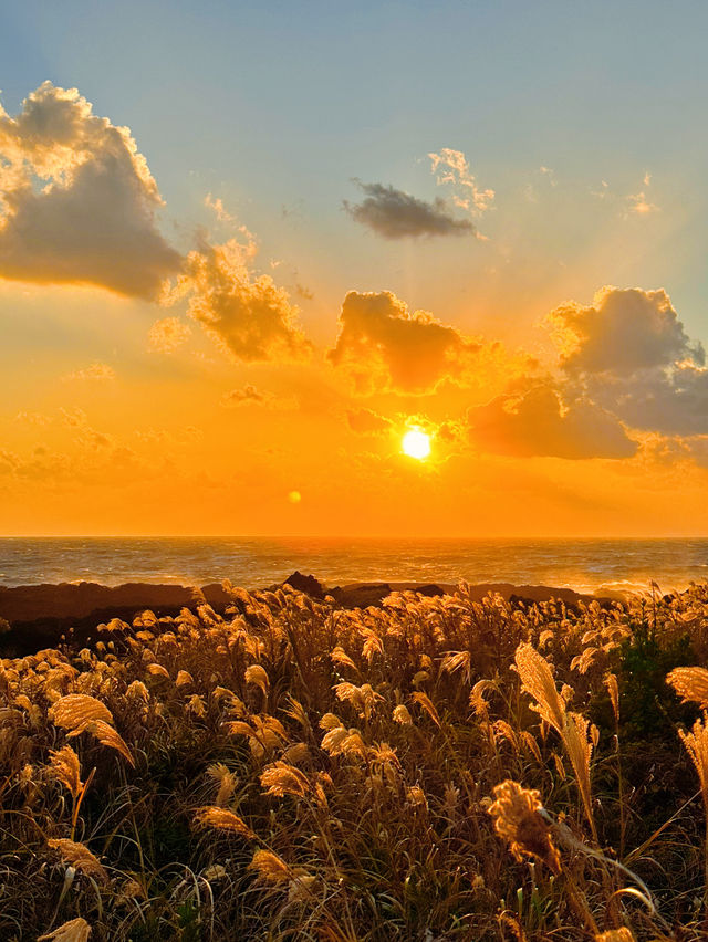 【絶景】最高のサンセットを見るなら南原千畳敷🌅