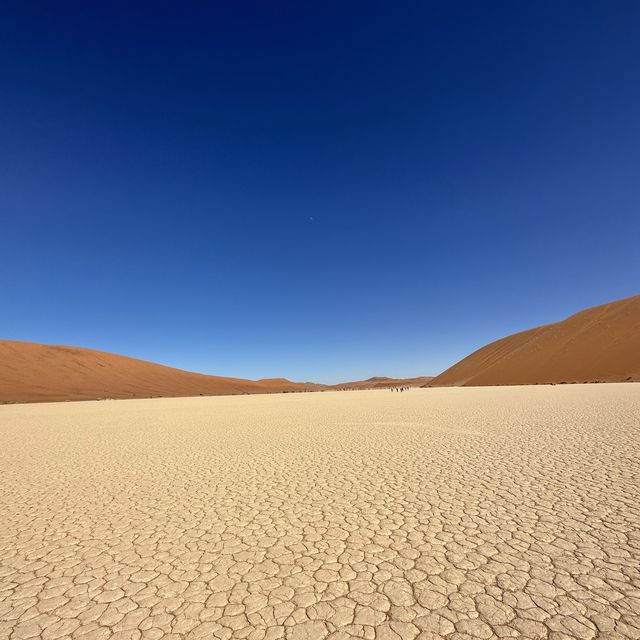 【ナミビア】感動のデッドフレイ！🇳🇦