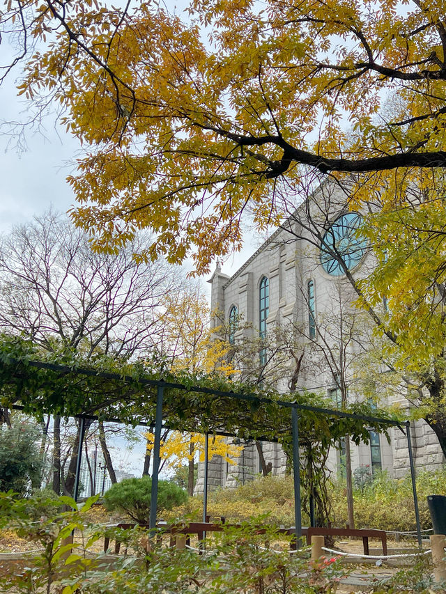 근대 골목 투어 필수코스인 청라언덕