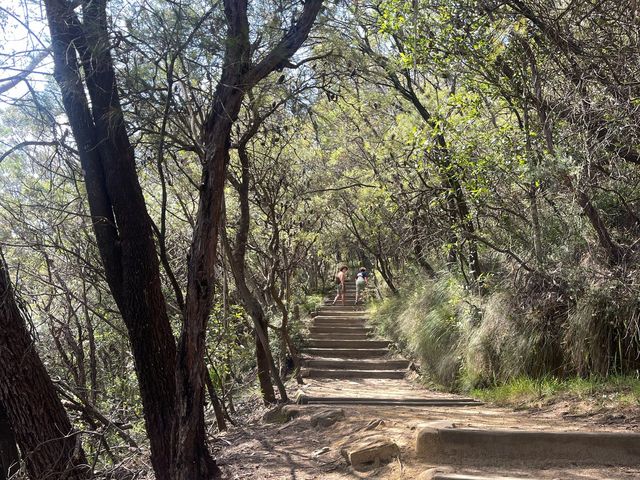 Amazing 2023 at Sydney Blue Mountains 