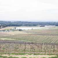 Sip wine & admire views at Hunter Valley