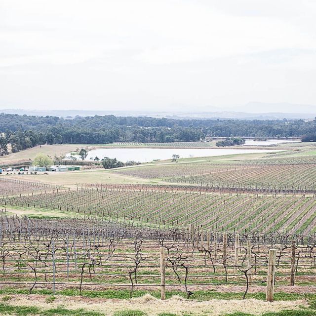 Sip wine & admire views at Hunter Valley