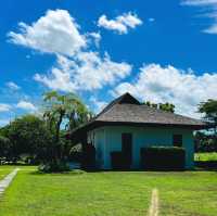 The Harmony Library & Tearoom