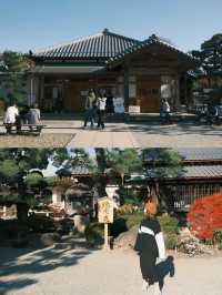 東京｜ 上千隻貓貓排排坐 貓奴們不可錯過的豪德寺